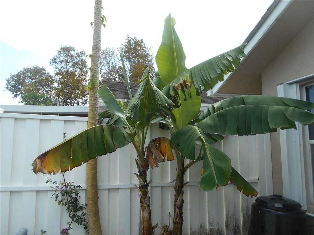 Crystal Key Pointe - Residential