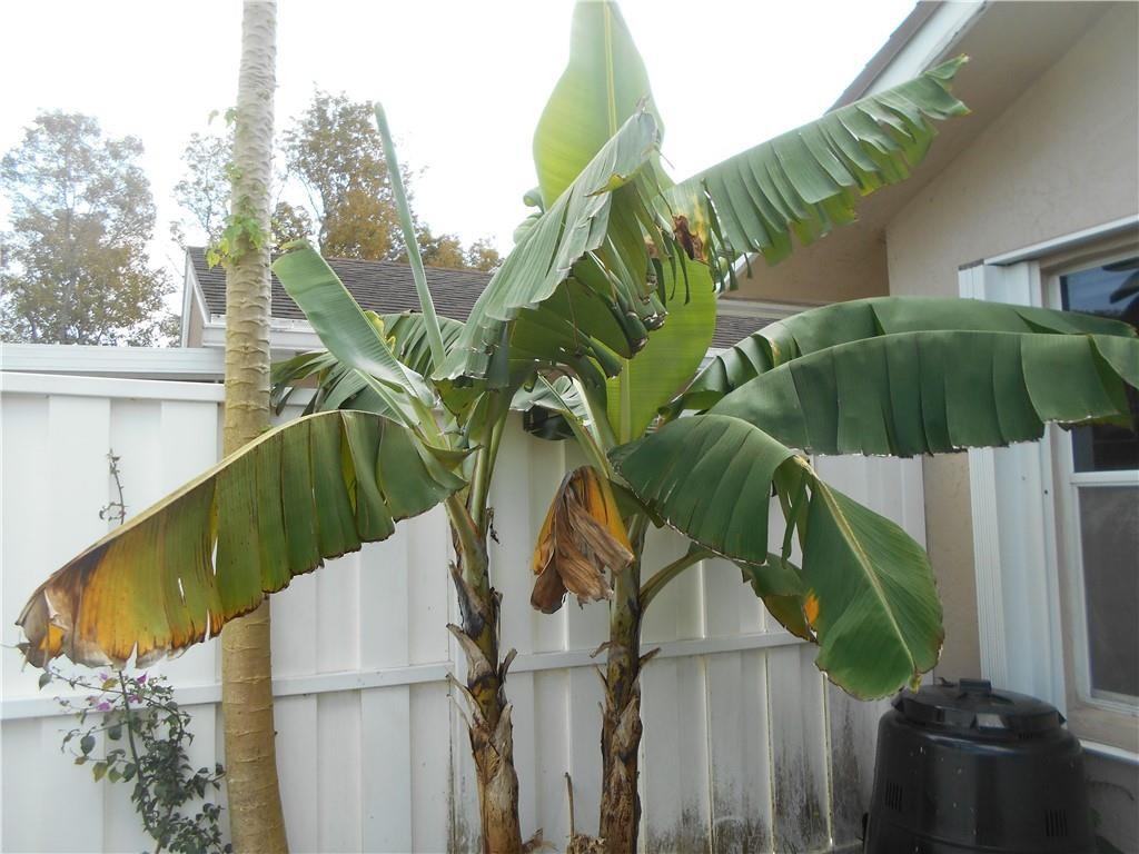 Crystal Key Pointe - Residential