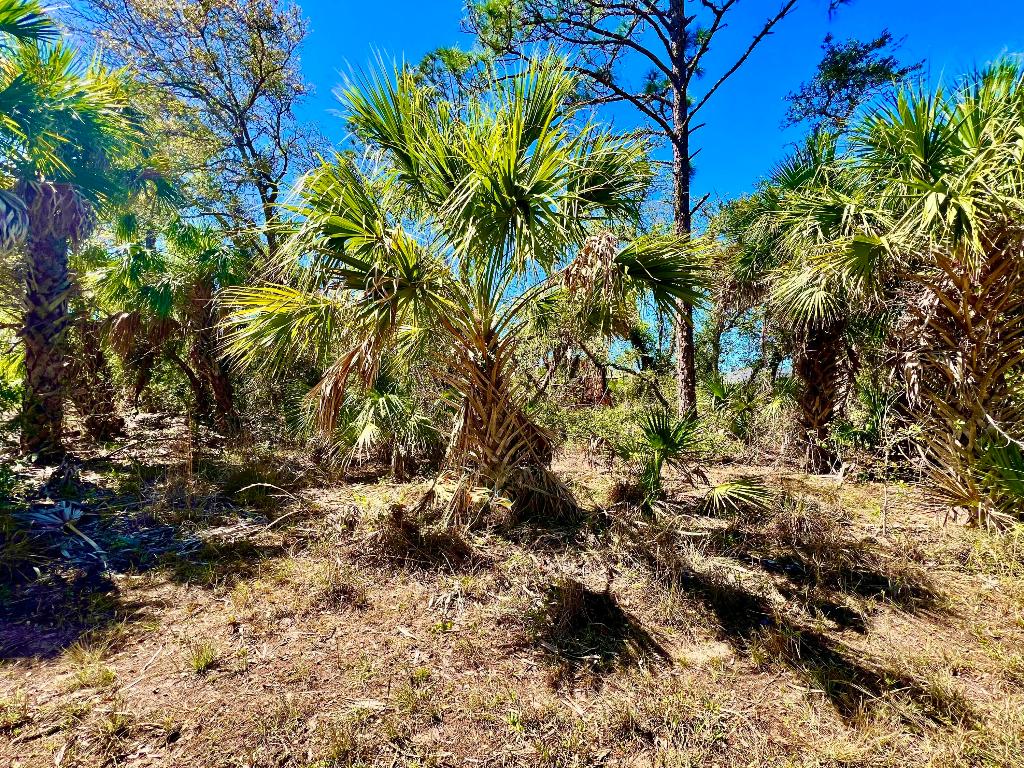 PORT CHARLOTTE SEC 24 - Land