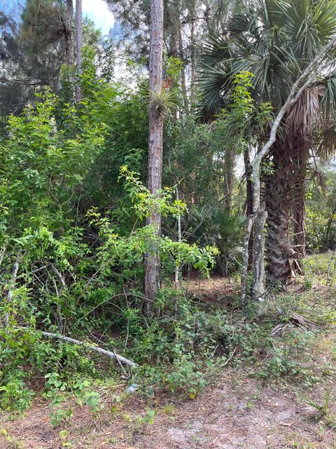 Unimproved Land in Loxahatchee Groves FL 1471 A Road 12.jpg