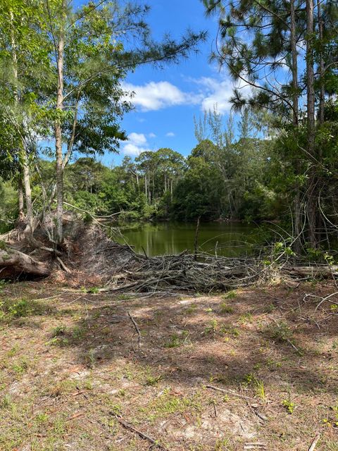 Unimproved Land in Loxahatchee Groves FL 1471 A Road 4.jpg