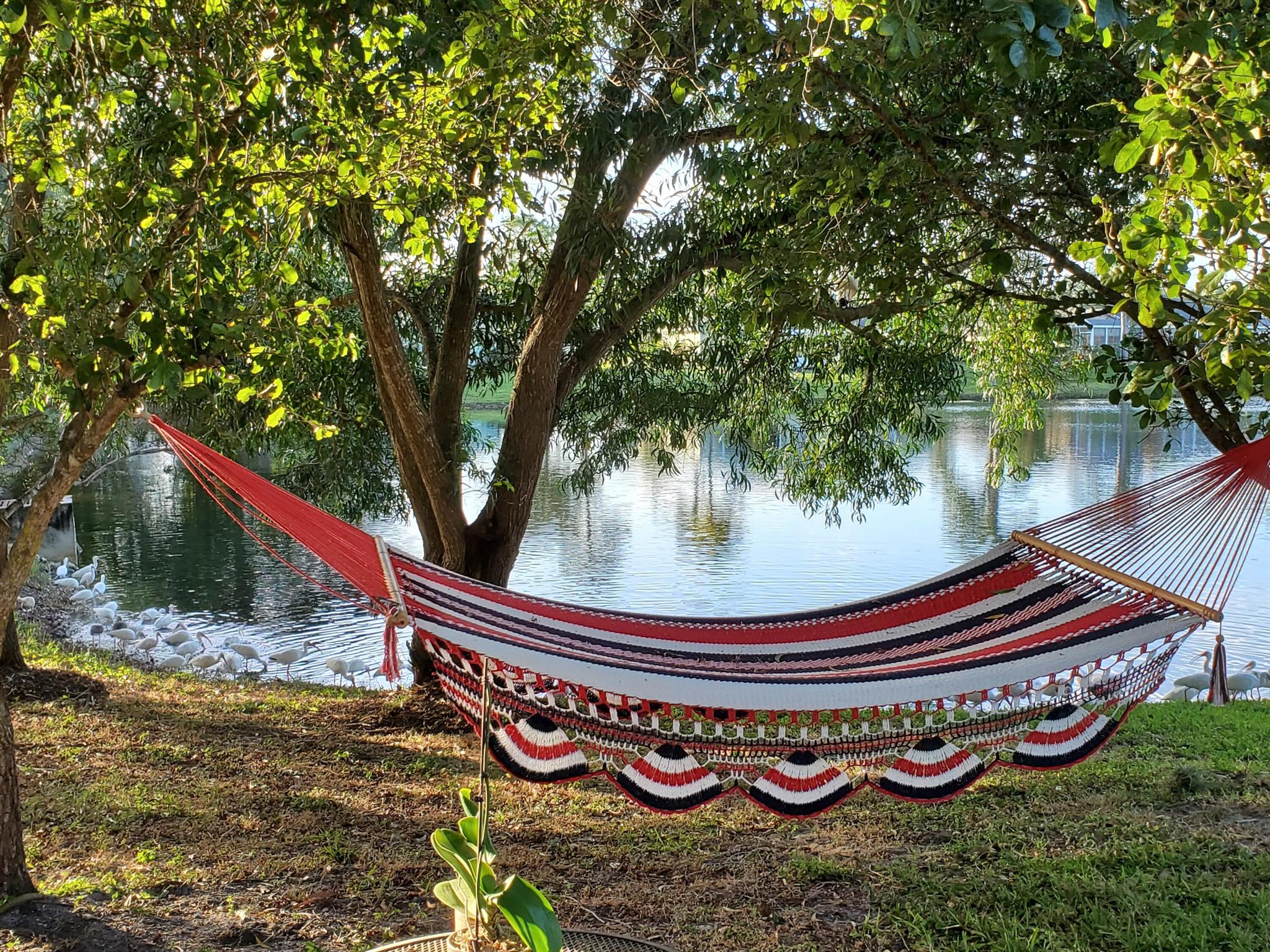 OLEANDER PINES - Residential