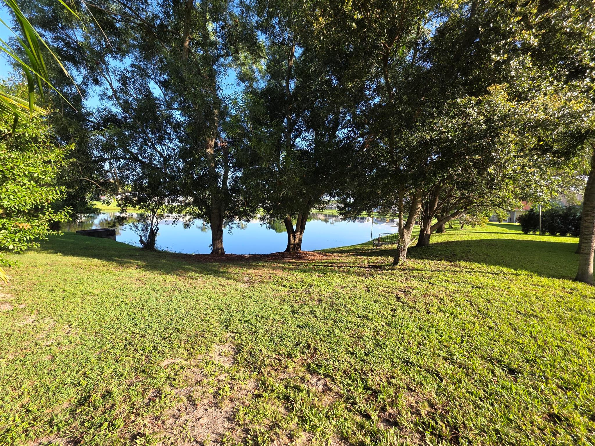 OLEANDER PINES - Residential