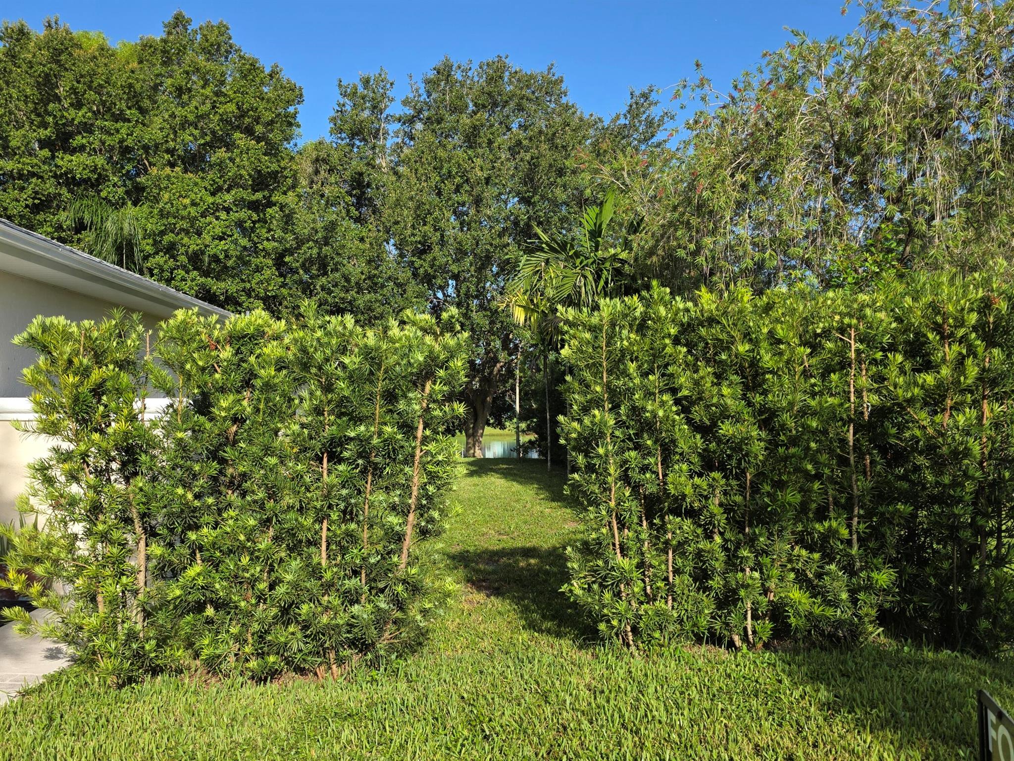 OLEANDER PINES - Residential