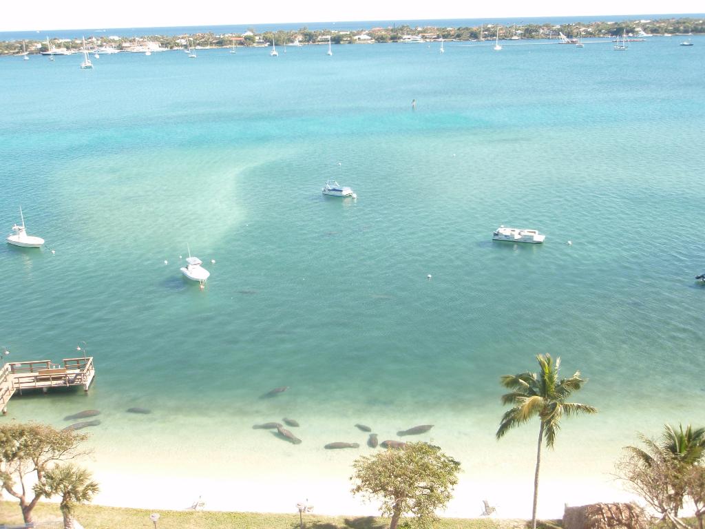 PALM BEACH HOUSE CONDO - Residential Lease