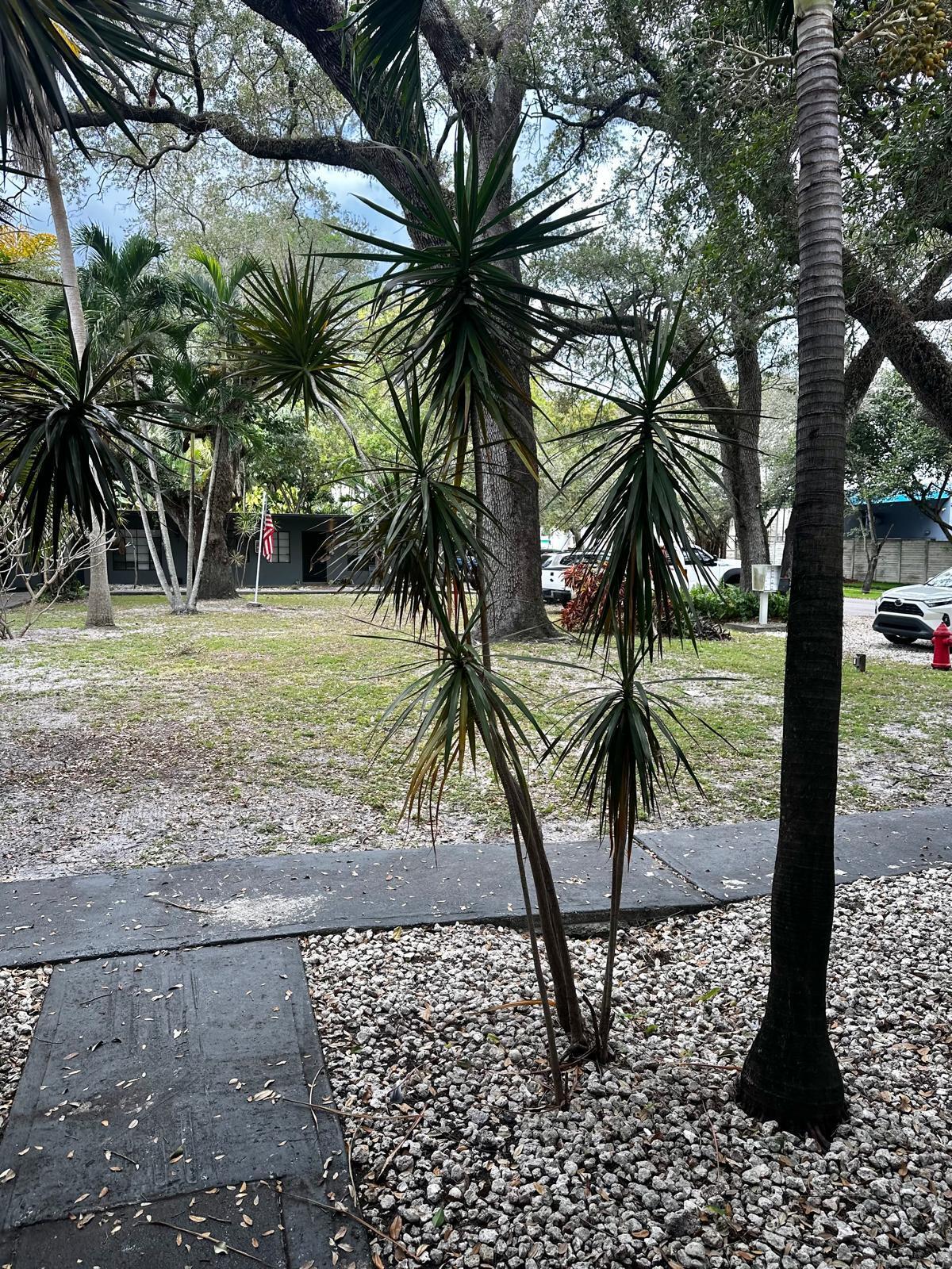 HIBISCUS GARDENS - Residential Lease