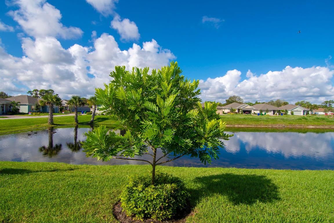 SANDCREST PUD PHASE 1 - Residential