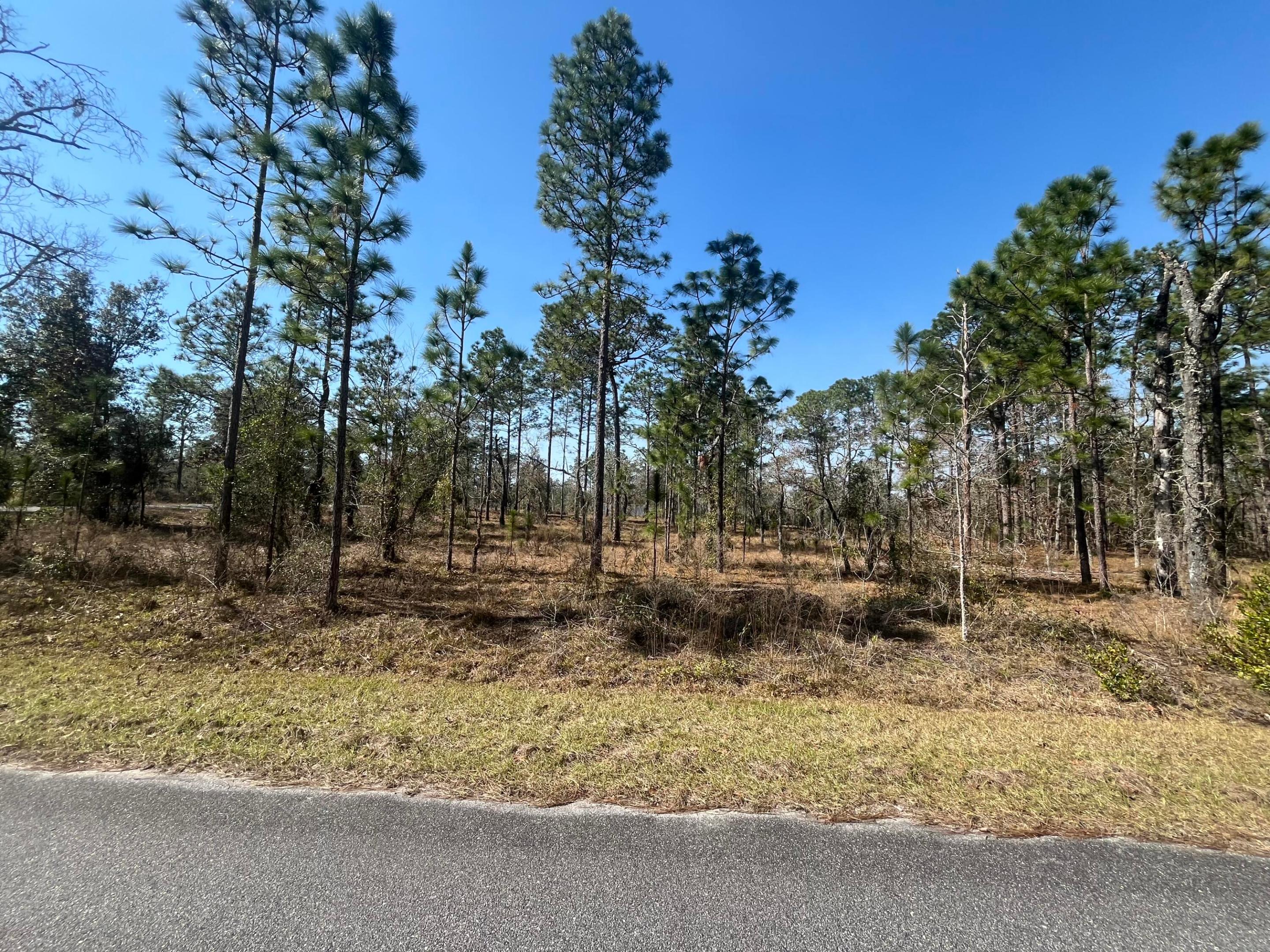 Tbd NW Water Oak Avenue