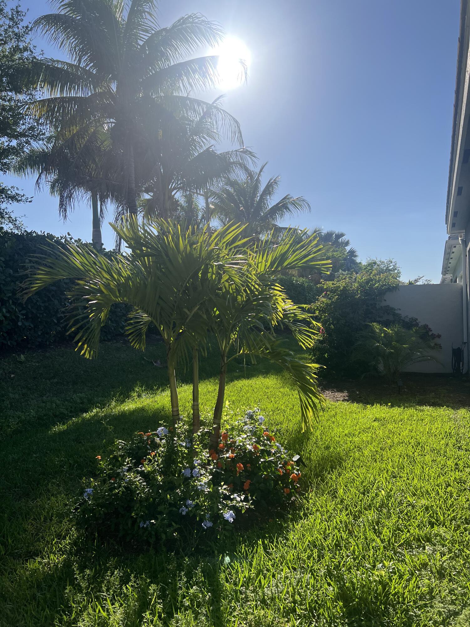 Valencia Sound - Residential