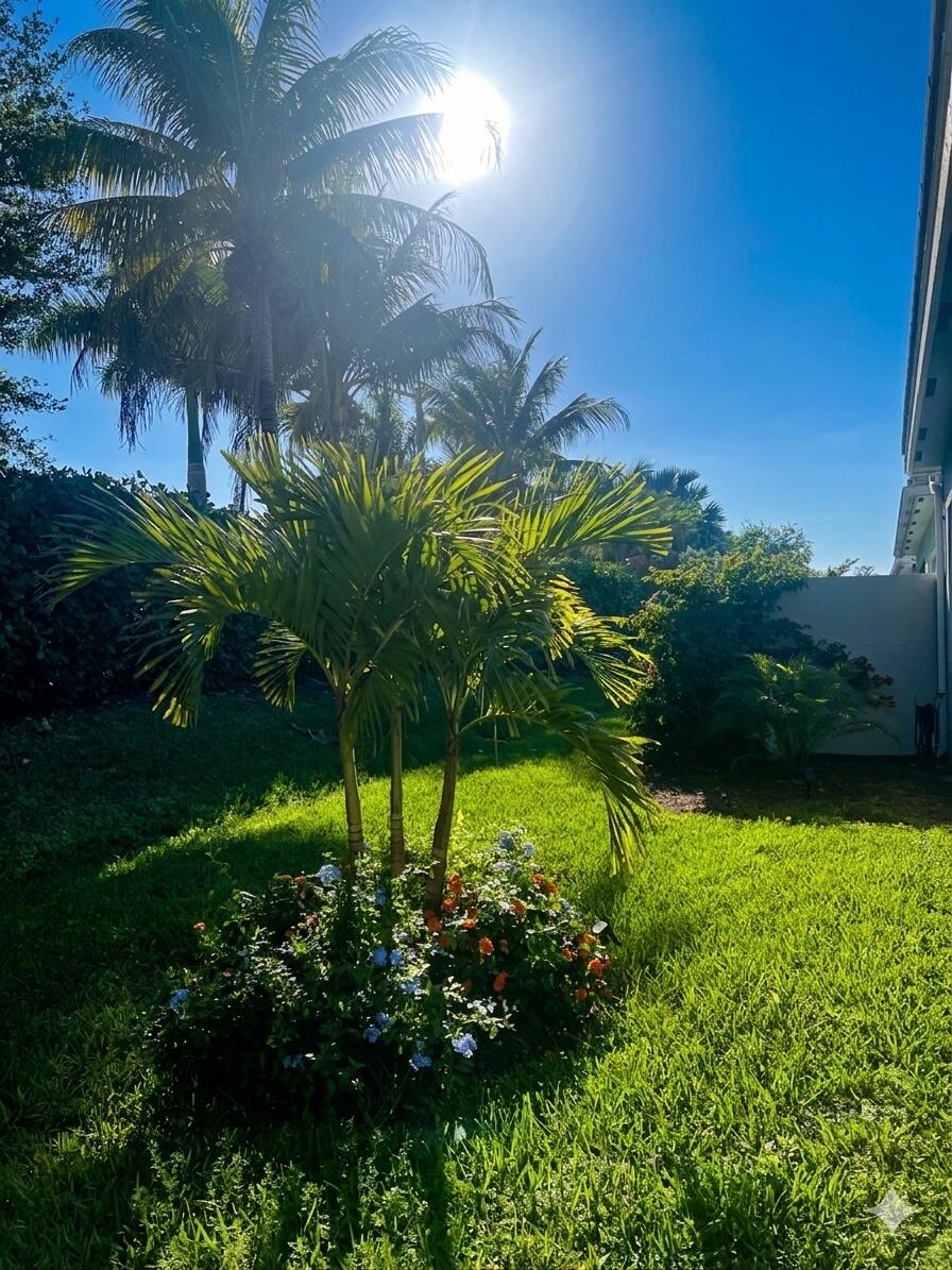 Valencia Sound - Residential