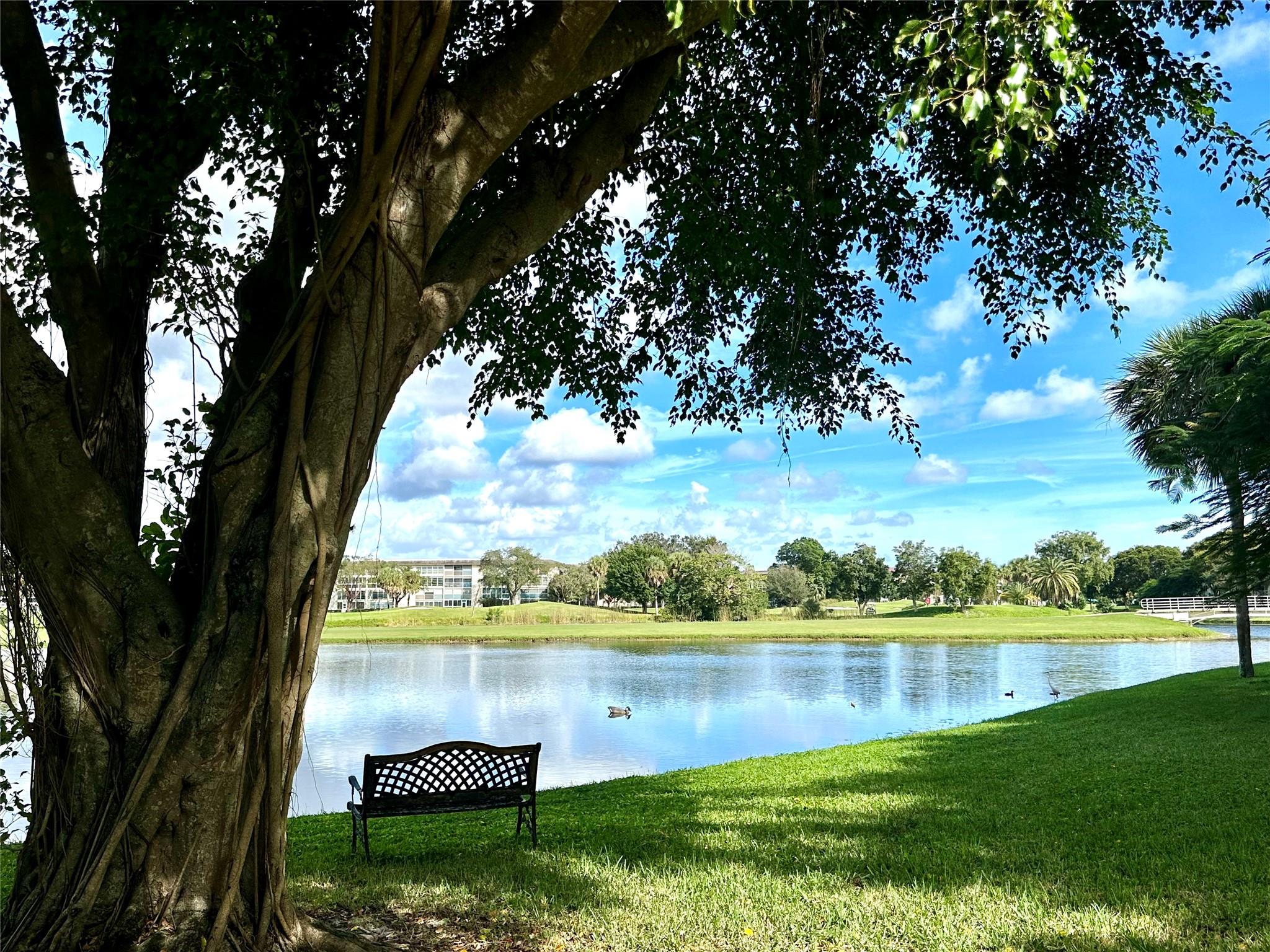 WYNMOOR-VICTORIA - Residential