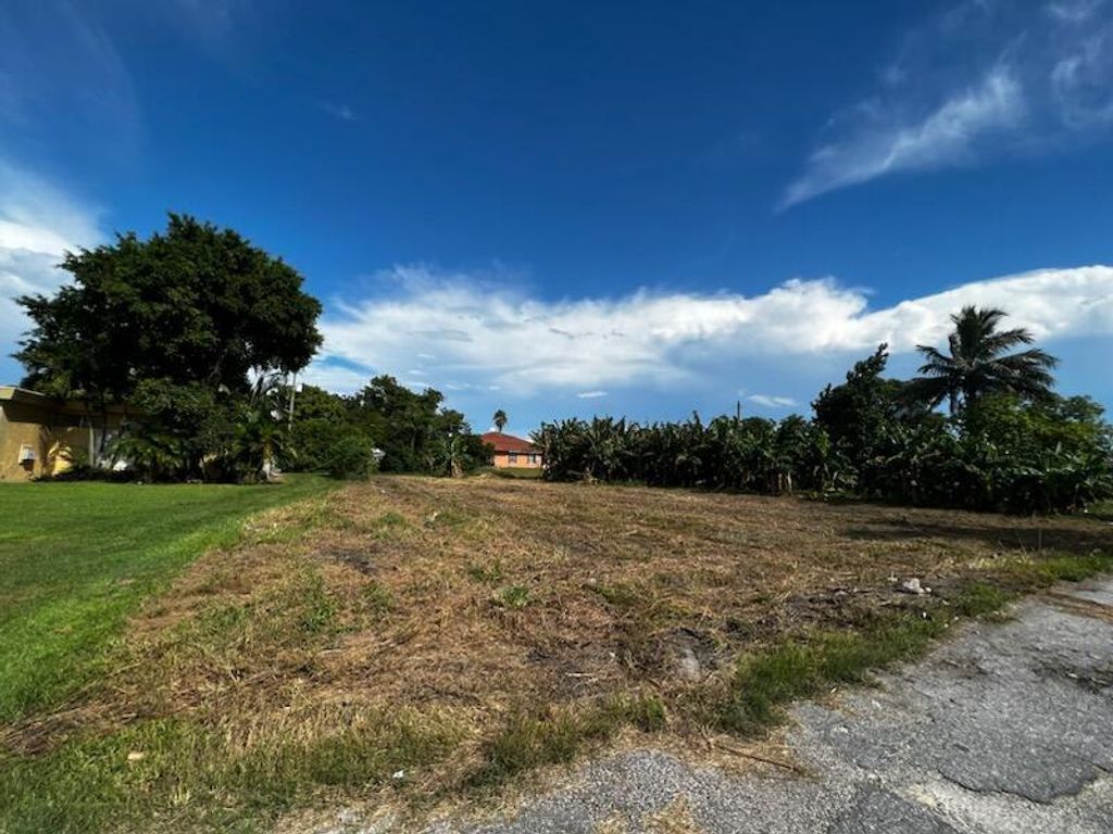 Photo of 0 S Lake Ave, Pahokee, FL 33476 (MLS # R10919317)