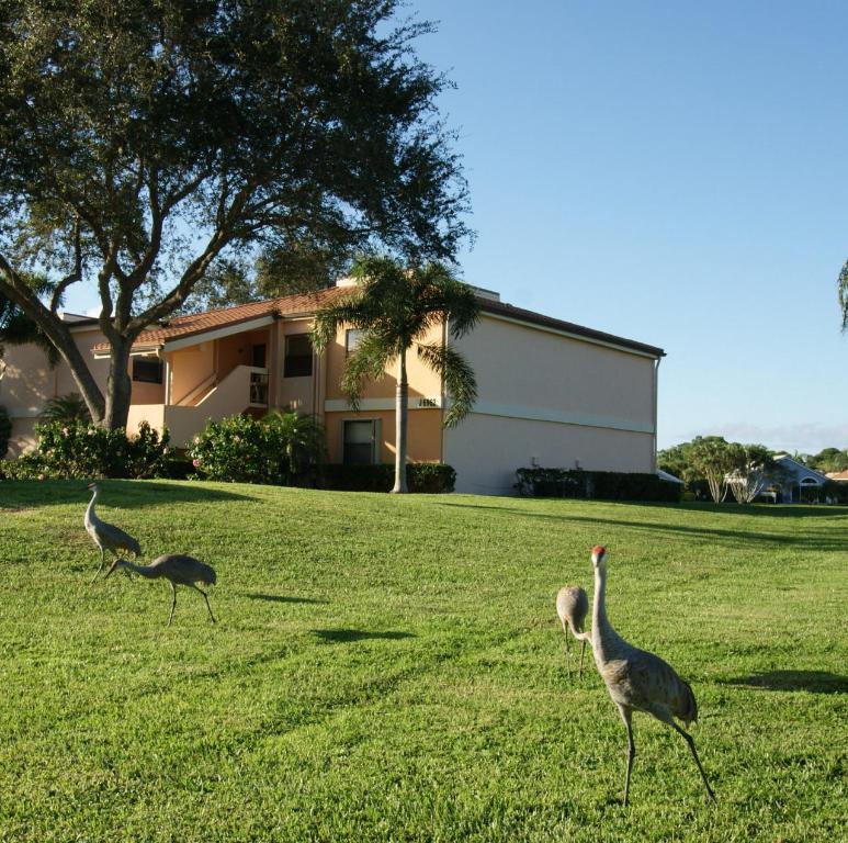 BRIARWOOD CONDO - Residential Lease