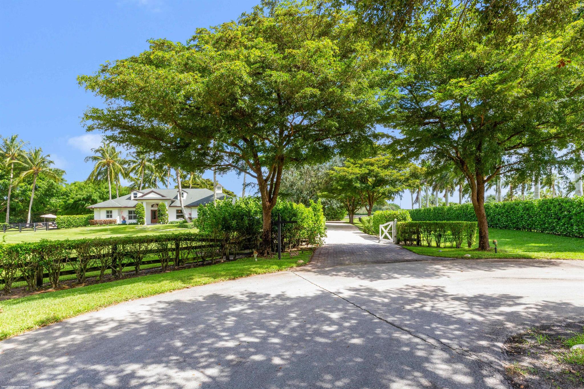 4429 Palm Breeze Trail