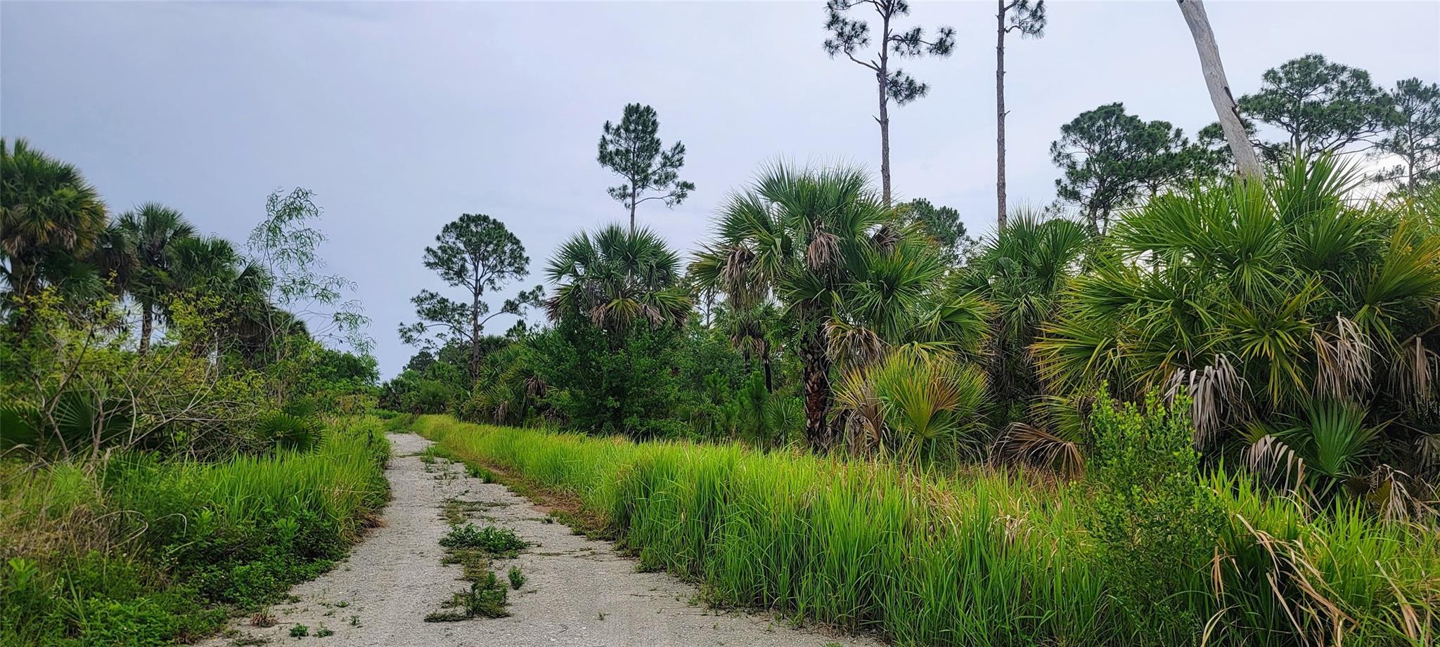 15355 93rd St, Fellsmere, FL, 32948/$485,000 2 15355 93rd St