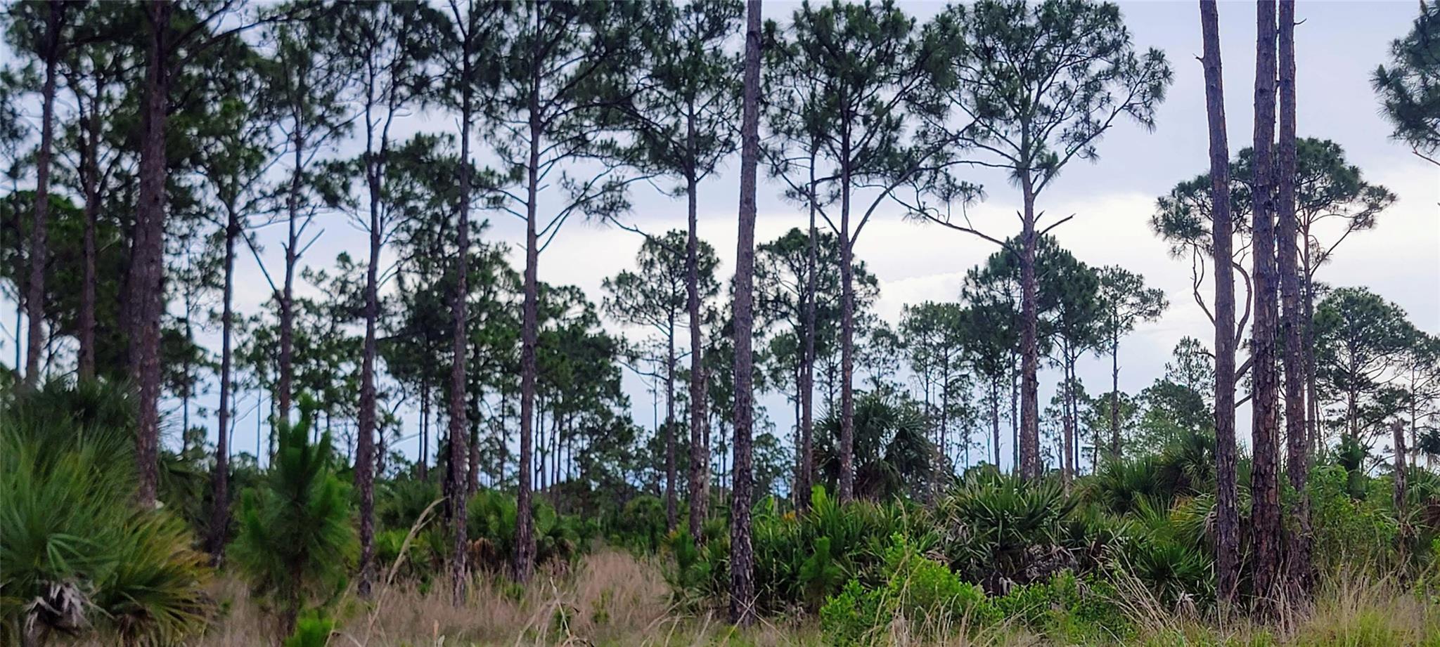 15355 93rd St, Fellsmere, FL, 32948/$485,000 4 15355 93rd St