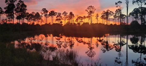 15355 93rd St Fellsmere FL 32948