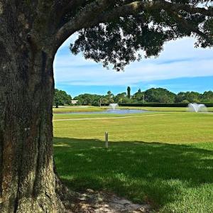 Eastpointe - Residential