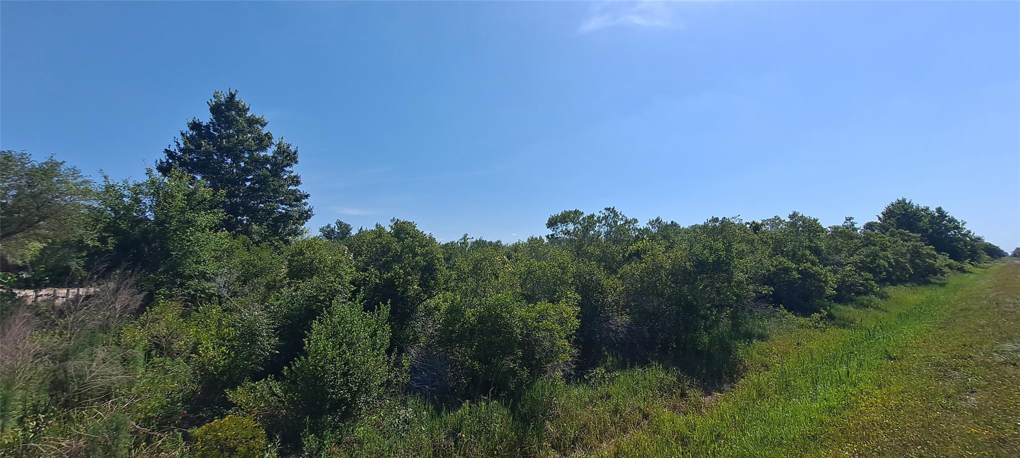 Lovely county lot, 1 & 1/4 acre parcel right near the paved road, (Peavine Rd). Electric very near. Close to Kissimmee Prairie state park! Lots of outdoor activities and nature awaits! Due diligence required for wetlands on this lot. Call for details. More photos to come.
