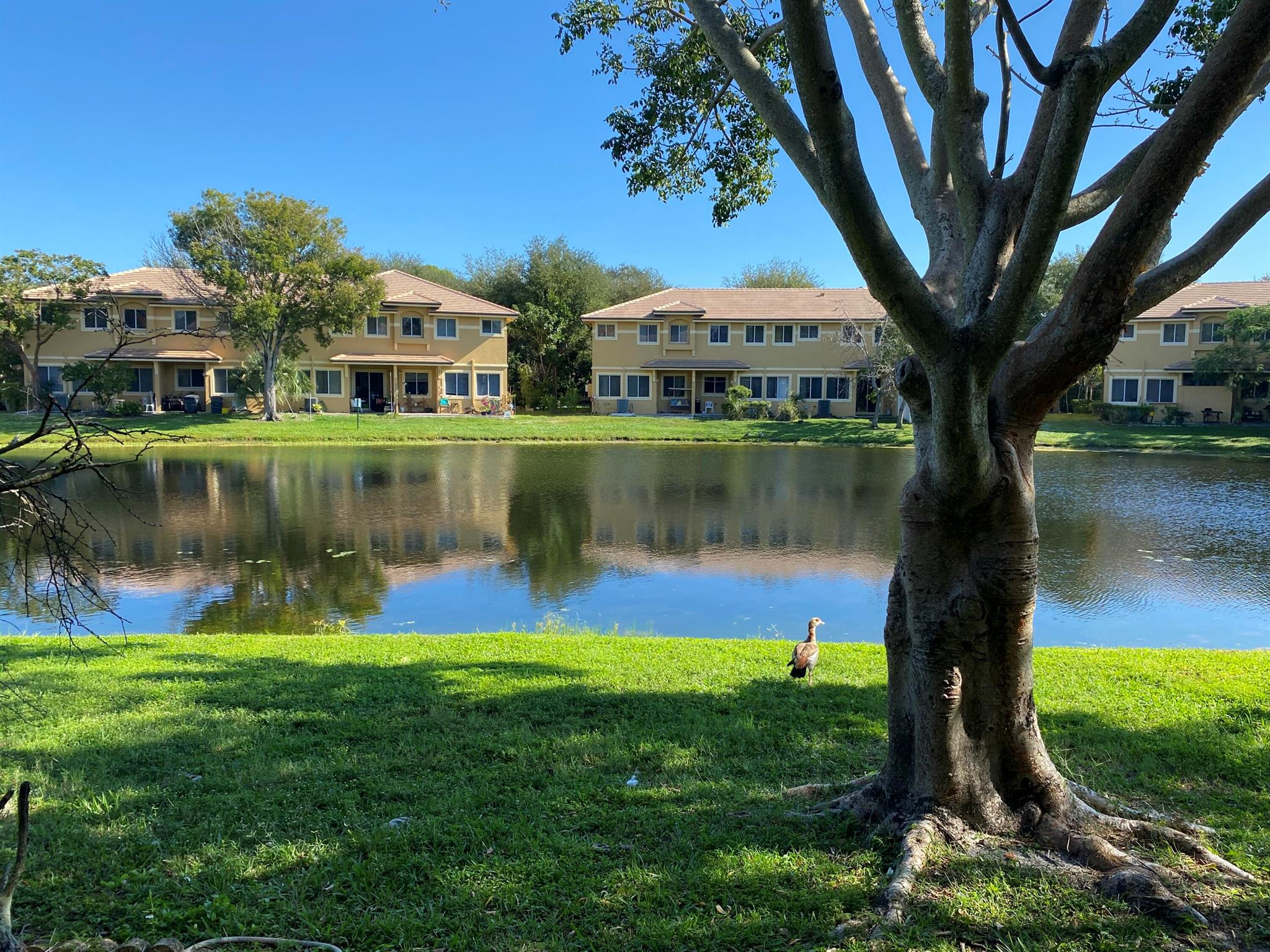 MILITARY TRAIL PUD - Residential Lease