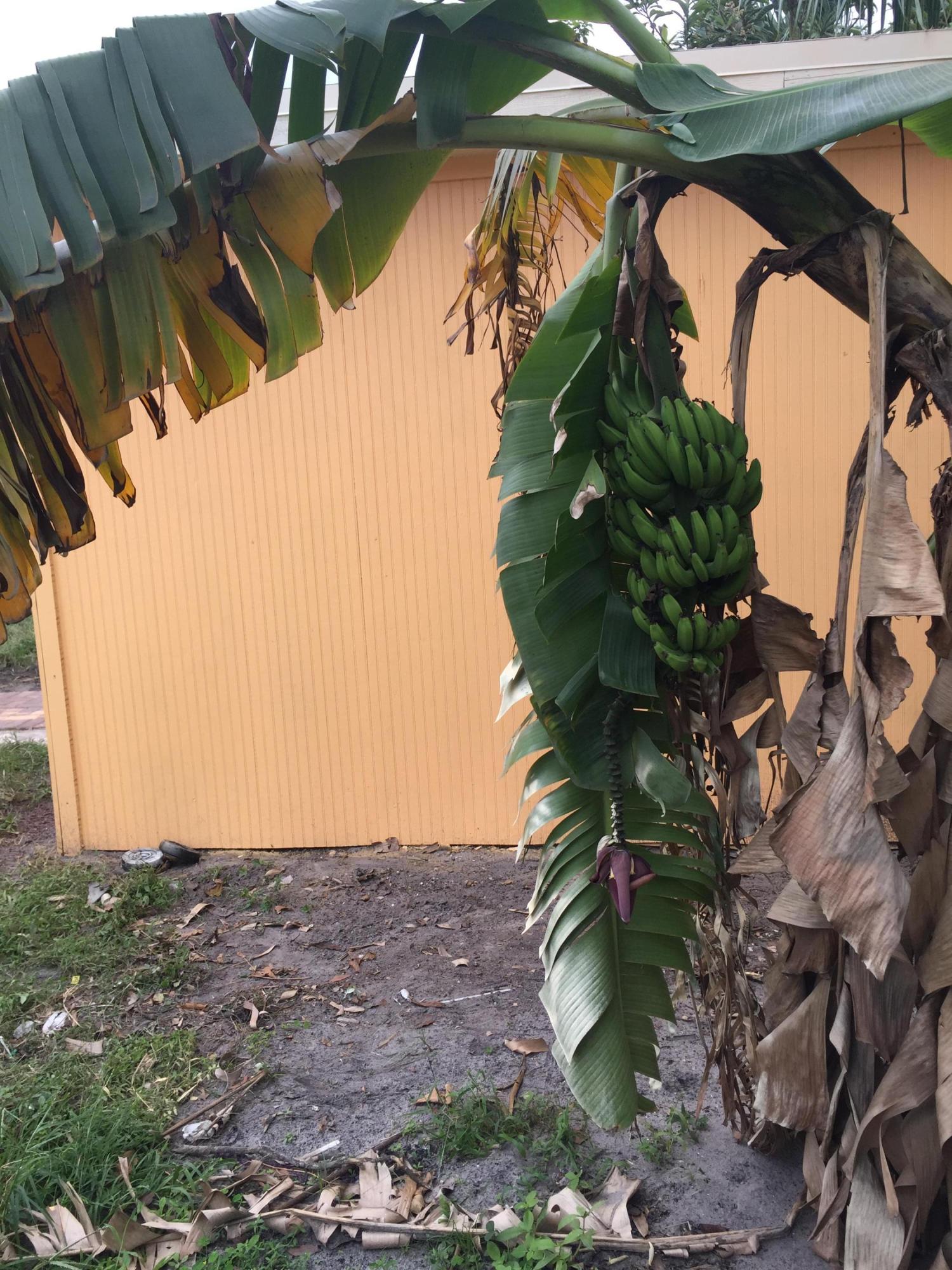 GOLFVIEW HEIGHTS 2 - Residential