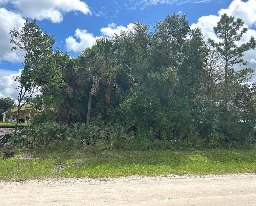 Perfect located to build the house of you dream in fast growing residential community. Close to mail, shopping centers and beaches.