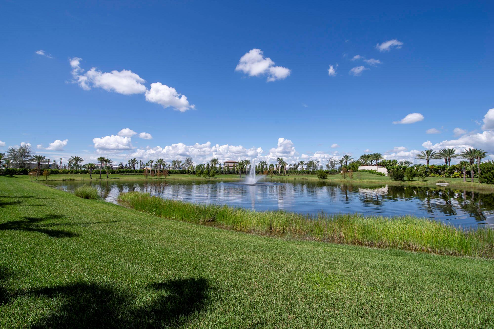 Apex at Avenir - Residential