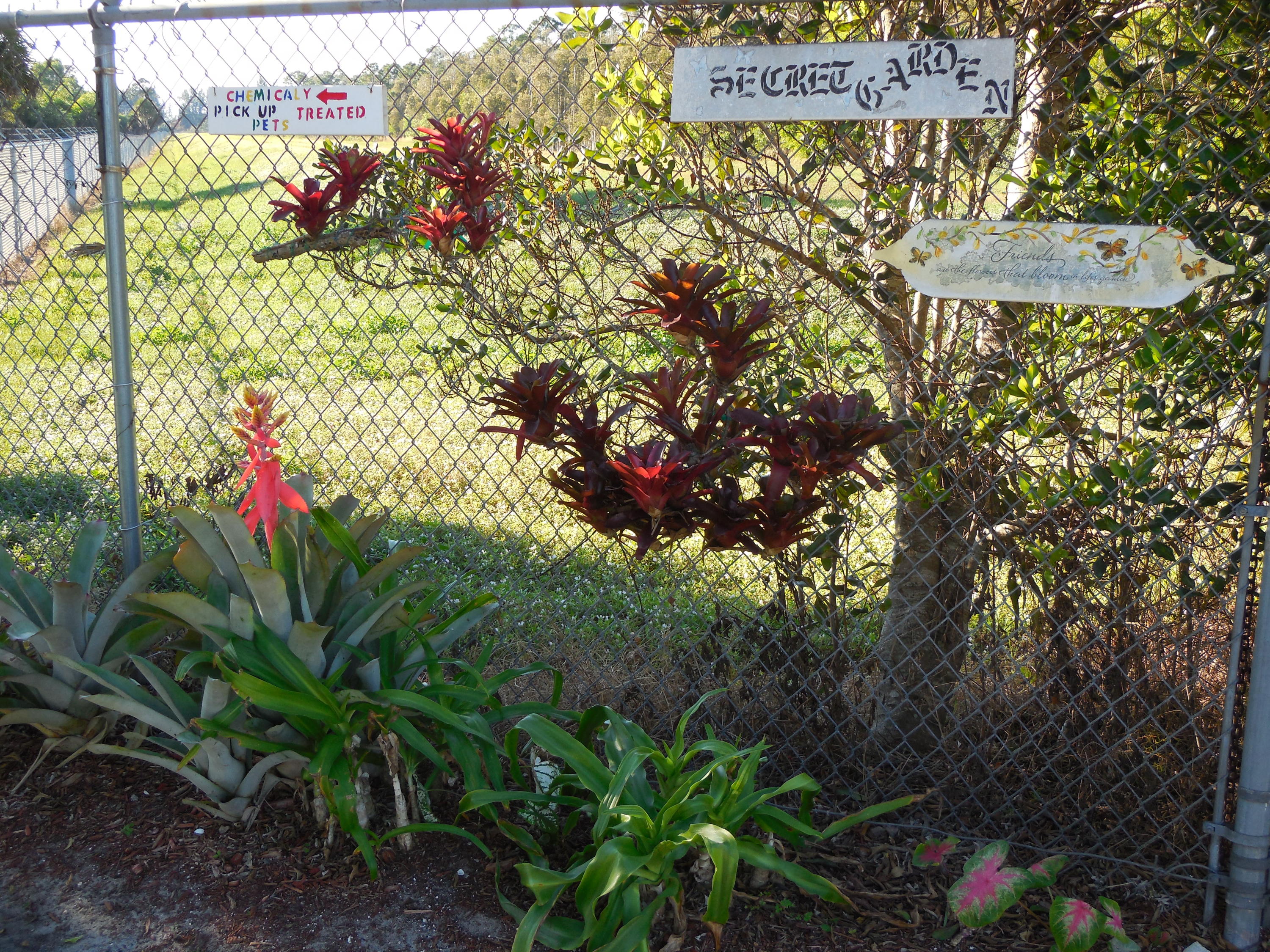 Century Village - Residential