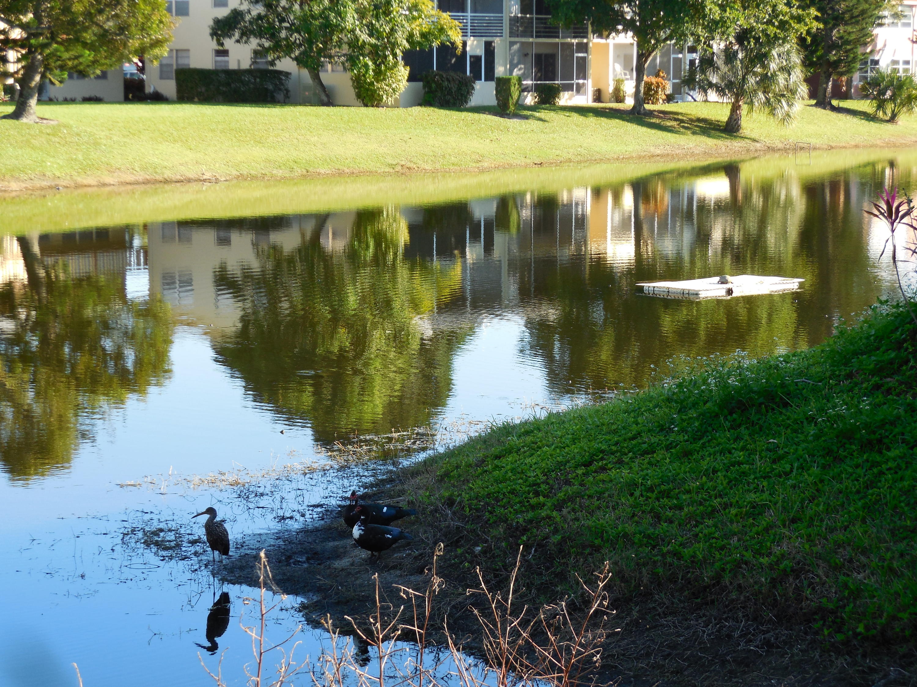 Century Village - Residential