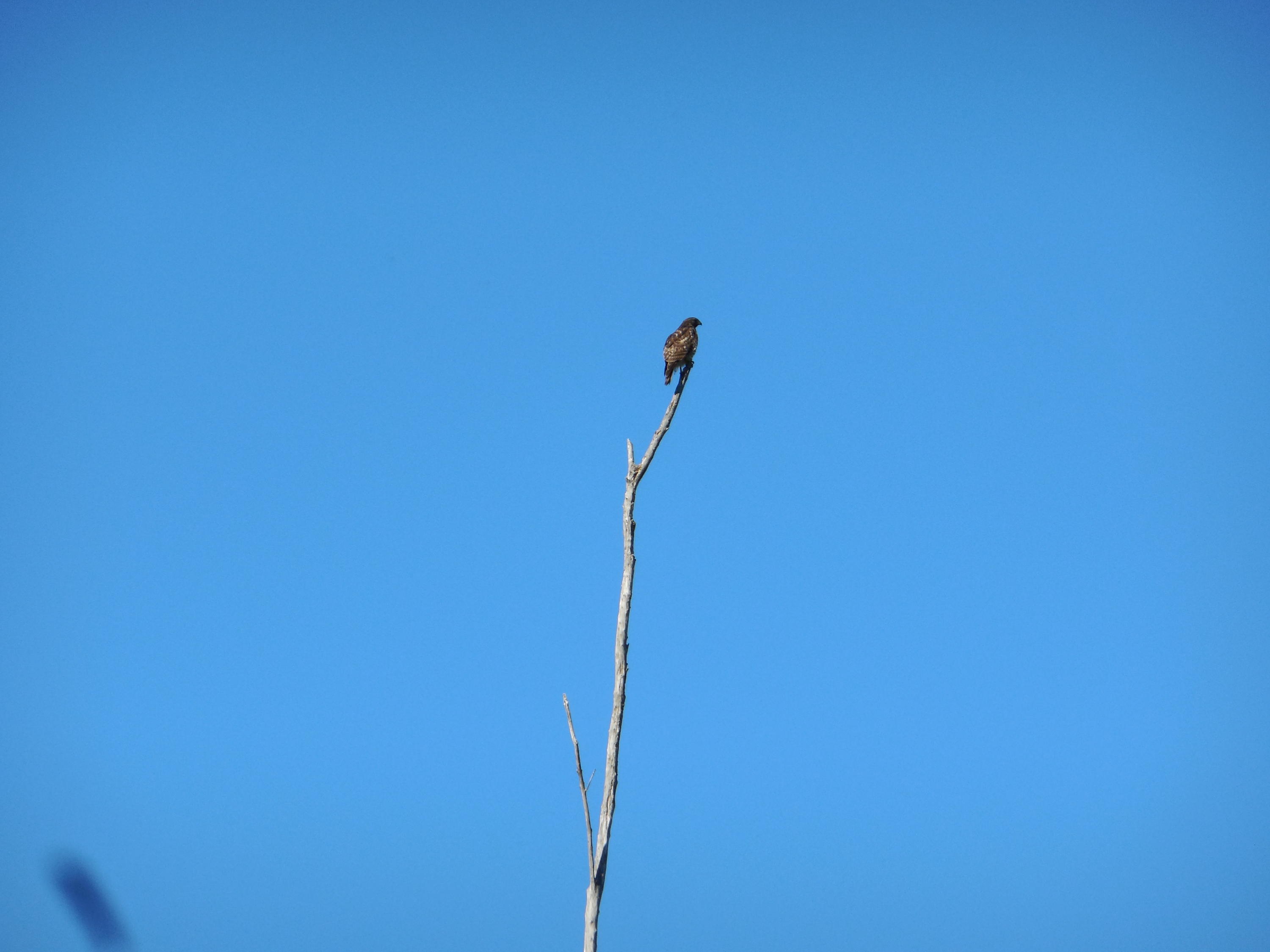 Century Village - Residential