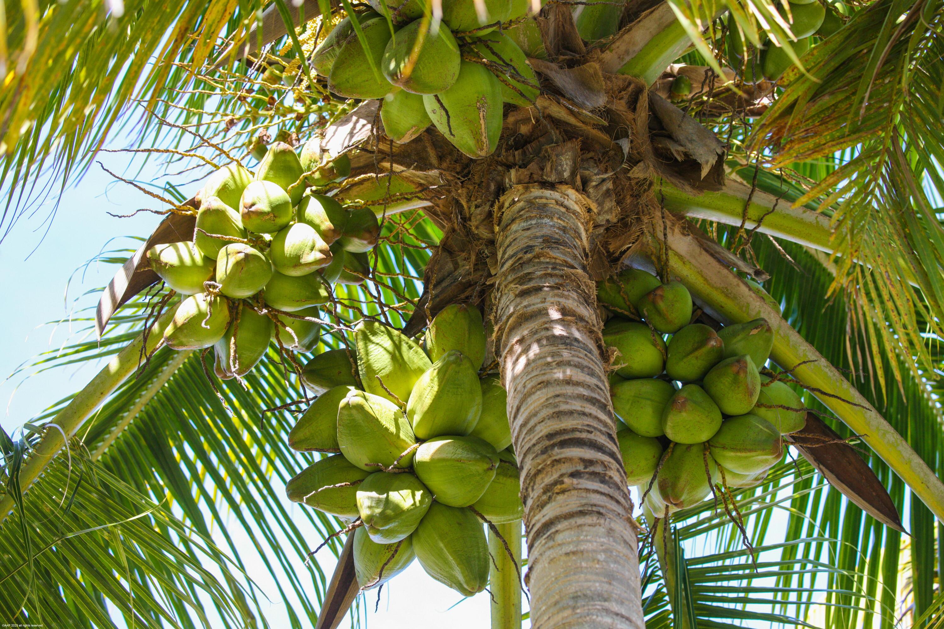PADDOCK PARK 2 OF WELLING - Residential