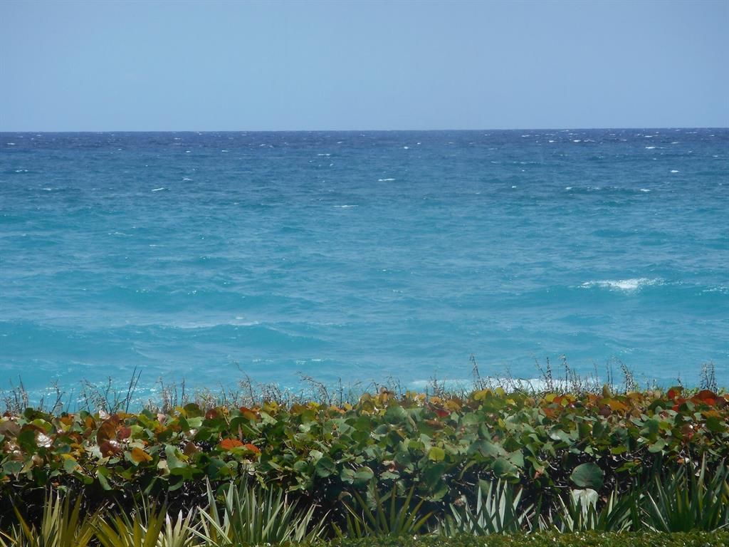 Photo of 80 Celestial 102 Way #102, Juno Beach, FL 33408 (MLS # R10795463)