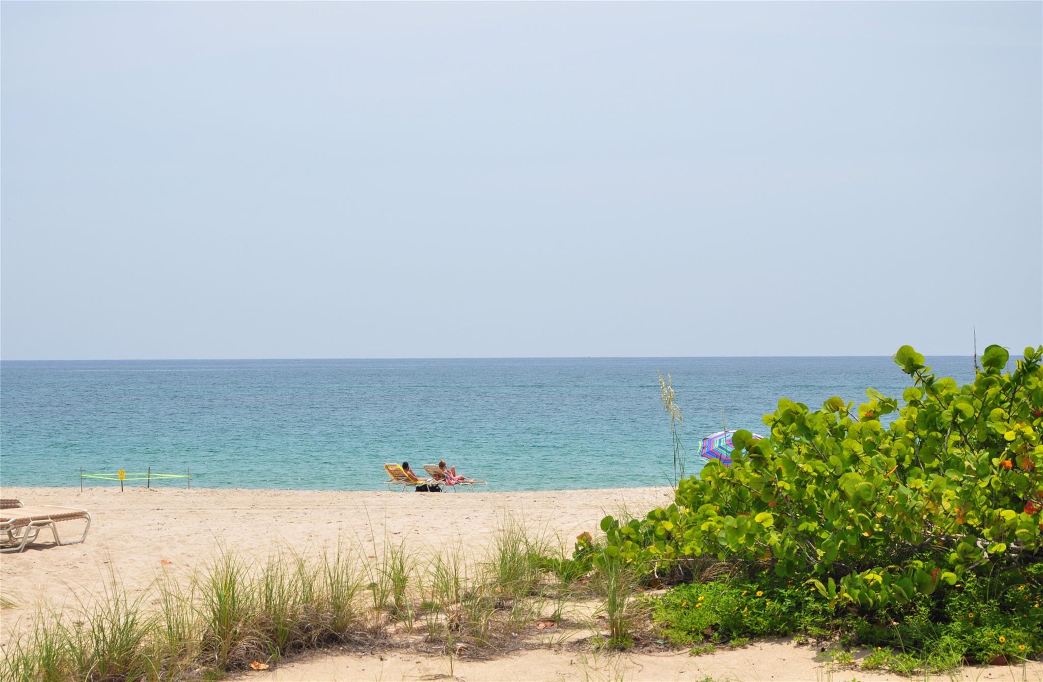 Beautiful completely remodeled seasonal rental! Oceanfront building with top amenities, new lobby, 24 hr doorman, fitness center overlooking the ocean, bbq by the beach, all within walking distance of shopping and dining in beautiful Lauderdale by the Sea. This 2 bedroom 2 baths nicely updated and furnished unit has a nice terrace to enjoy the sunsets with a view of the upscale homes in Sea Ranch Lakes. New kitchen and bathrooms, new flooring, washer and dryer in unit.
