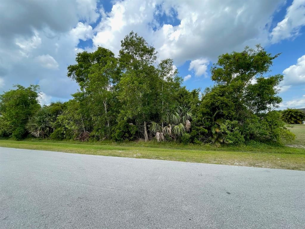 Photo of 2062 SE North Blackwell Drive SE, Port Saint Lucie, FL 34953 (MLS # R10713944)