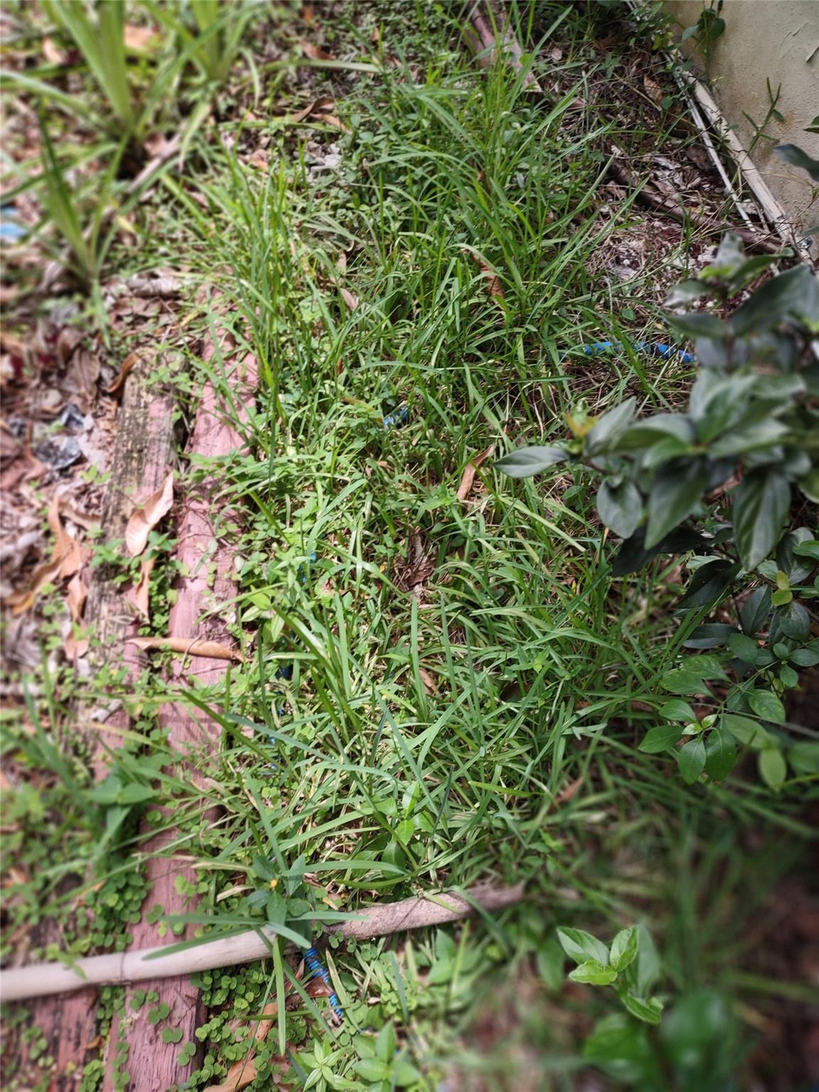 BELLVIEW HIGHTS OCALA - Land