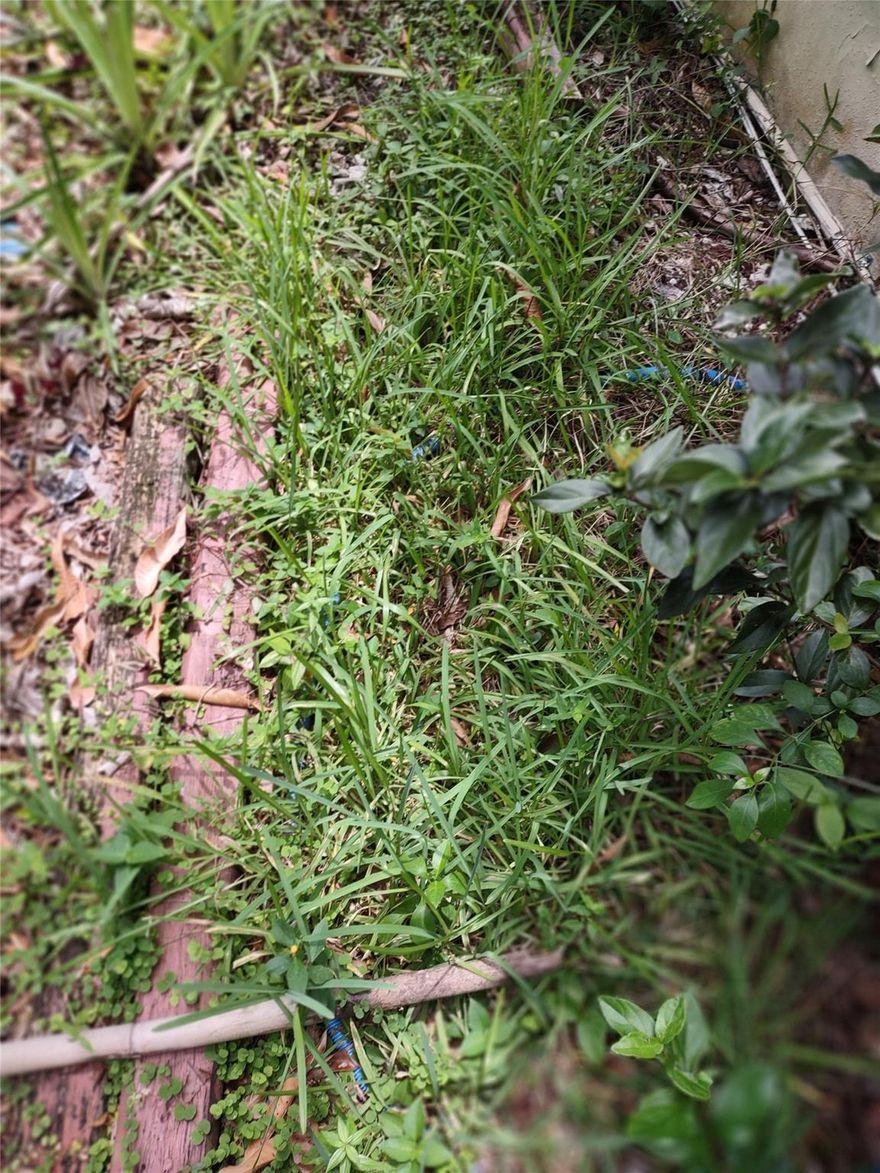 YOUR PARCEL # IS  4214-171-025. THIS IS YOUR LOT FOR YOUR 3000 SQ HOME.