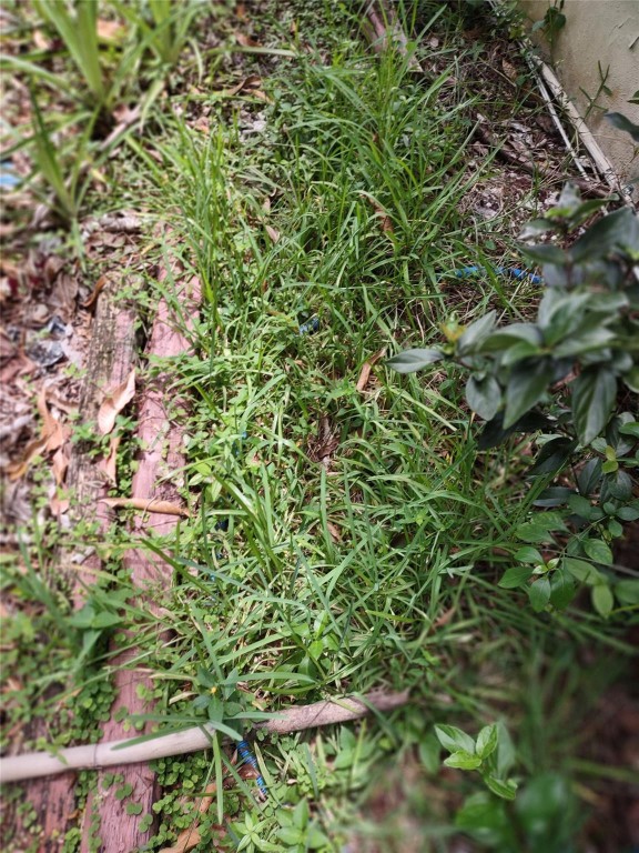 BELLVIEW HIGHTS OCALA - Land