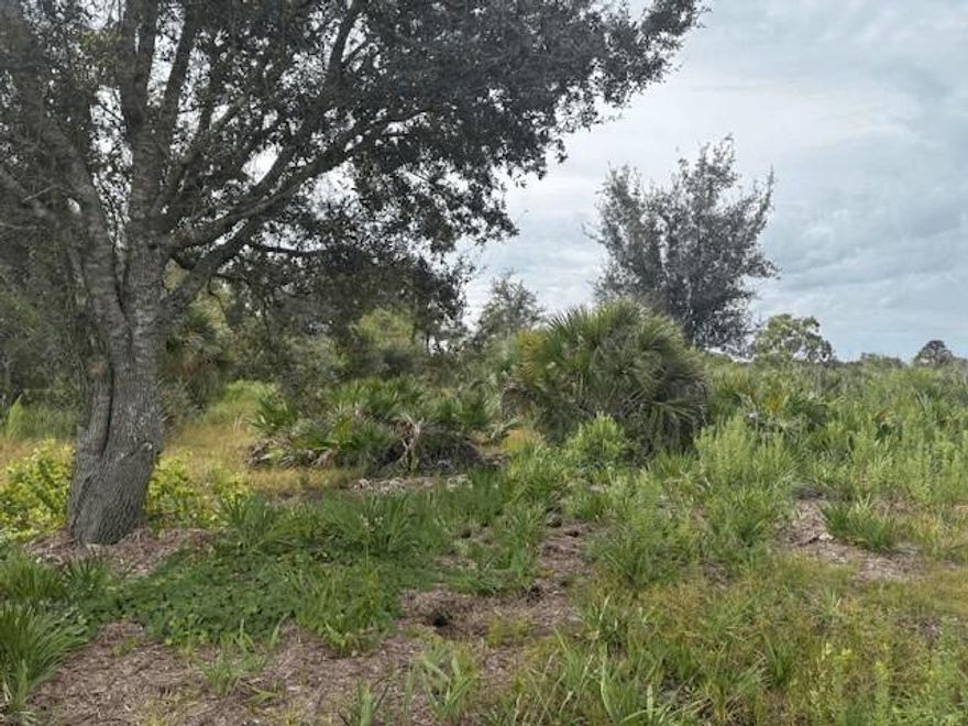 5 acres in Viking Estates. Close to the Kissimmee Prairie State Park. Bring your 4 -wheelers. This property is not only ideal for recreational uses such has camping, hunting and shooting, but it’s agricultural as well.
Owner financing available