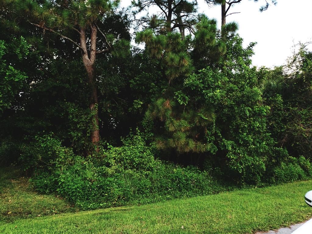 Photo of 1920 SW Beauregard Street, Port Saint Lucie, FL 34953 (MLS # R10749370)