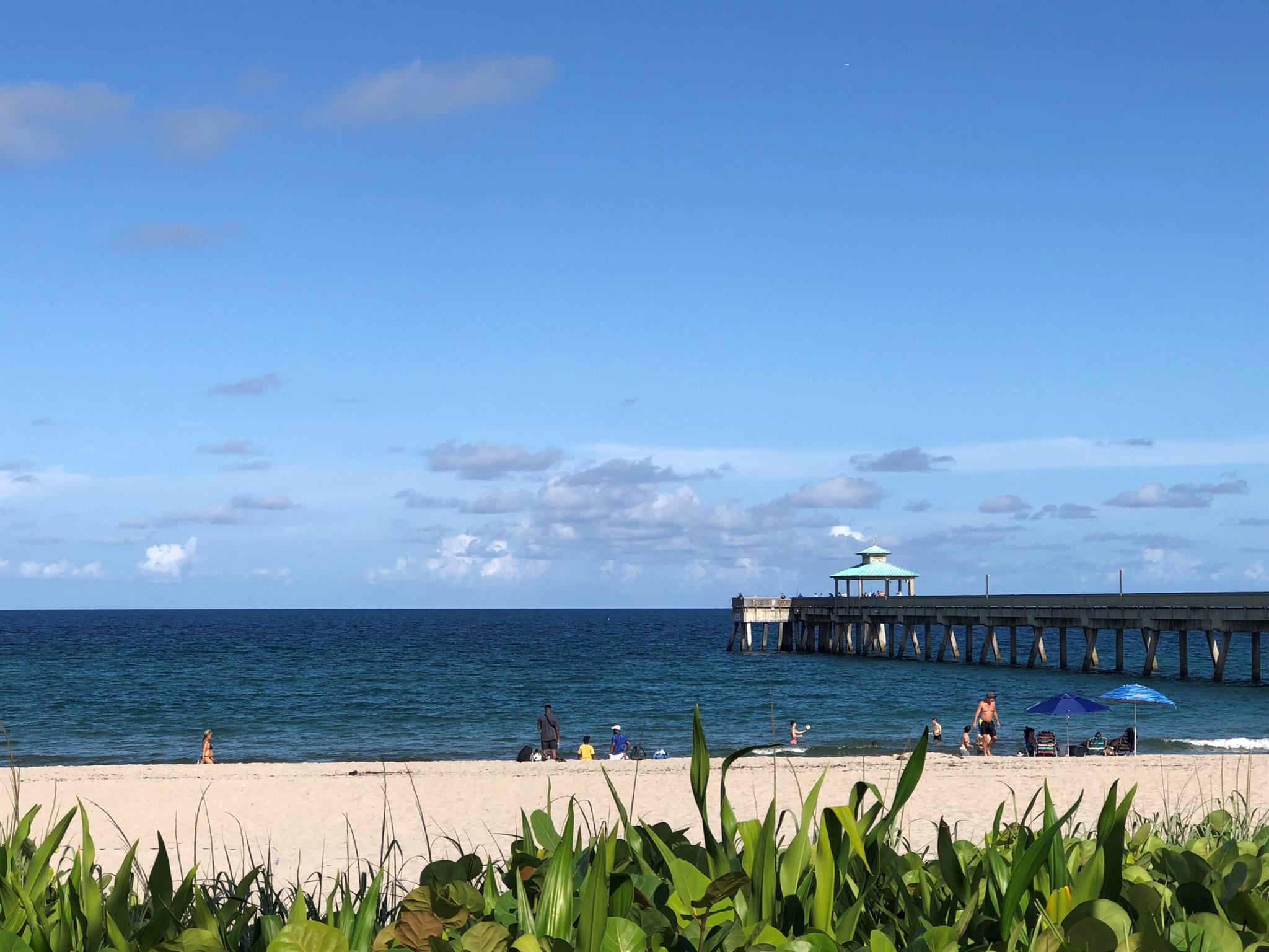 HILLSBORO COVE CONDO - Residential