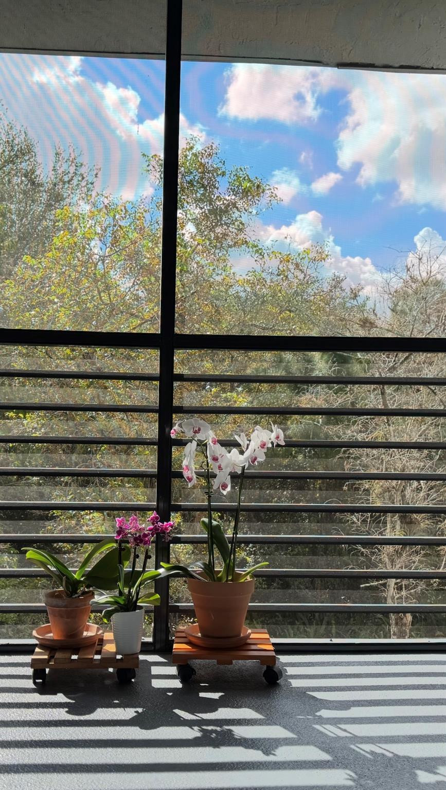 Bonaire at Woodmont - Residential