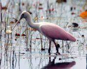 PORT ST LUCIE SECTION 45 - Residential