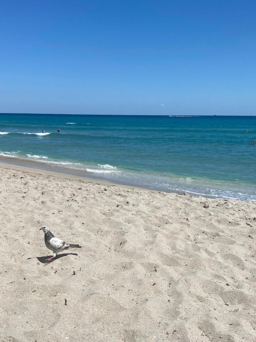 Photo of 10102 S Ocean Drive Dr S #104, Jensen Beach, FL 34957 (MLS # R10806905)