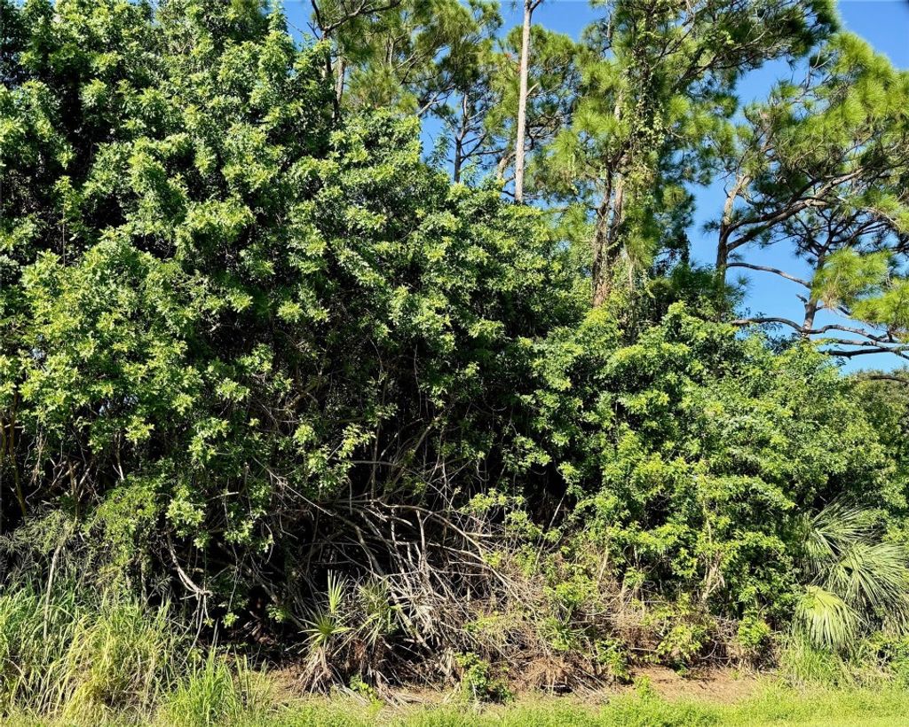 Photo of 6904 Deer Park Avenue, Fort Pierce, FL 34951 (MLS # F10532669)