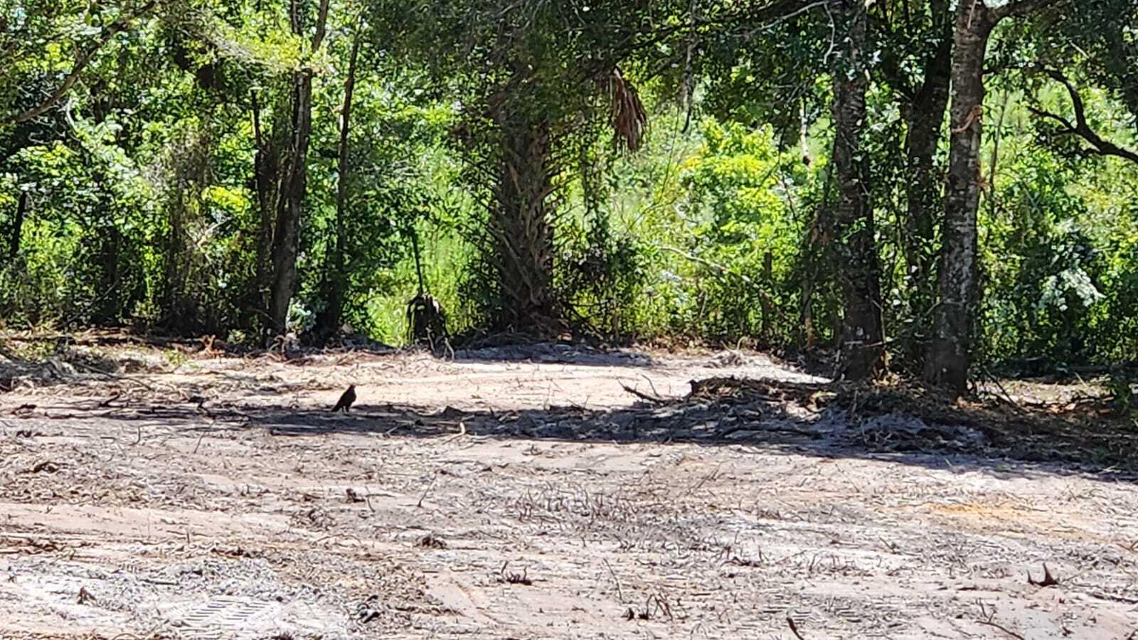 SOUTHERN COLONIZATION COMPANY PLAT - Land