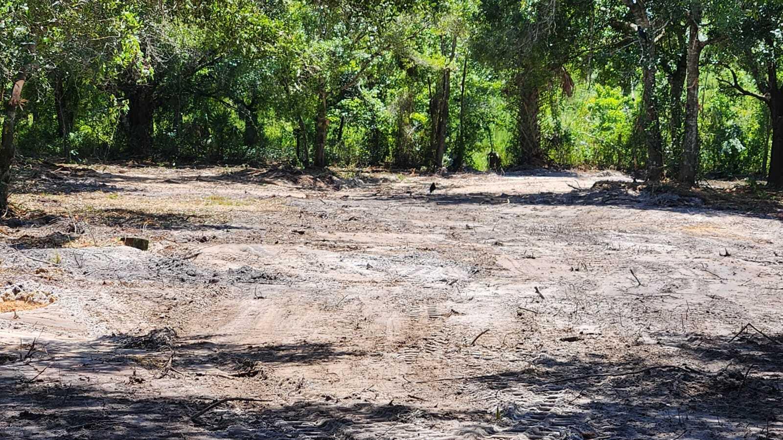 SOUTHERN COLONIZATION COMPANY PLAT - Land