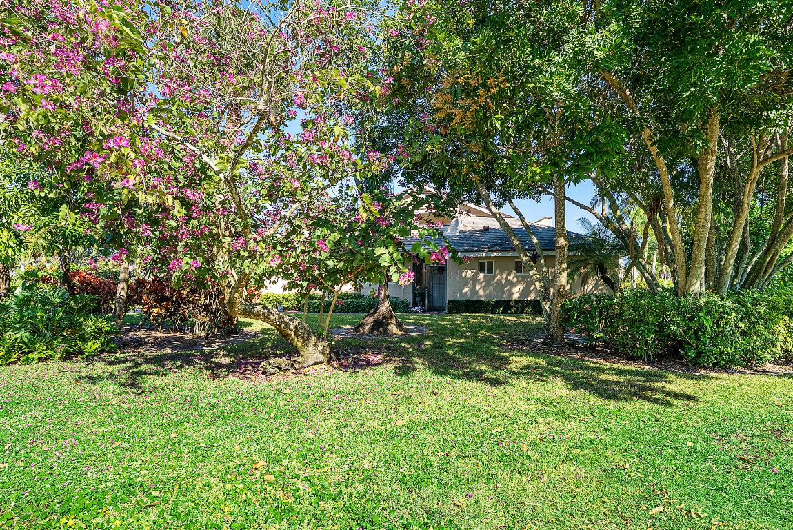 FOUNTAINS - Residential