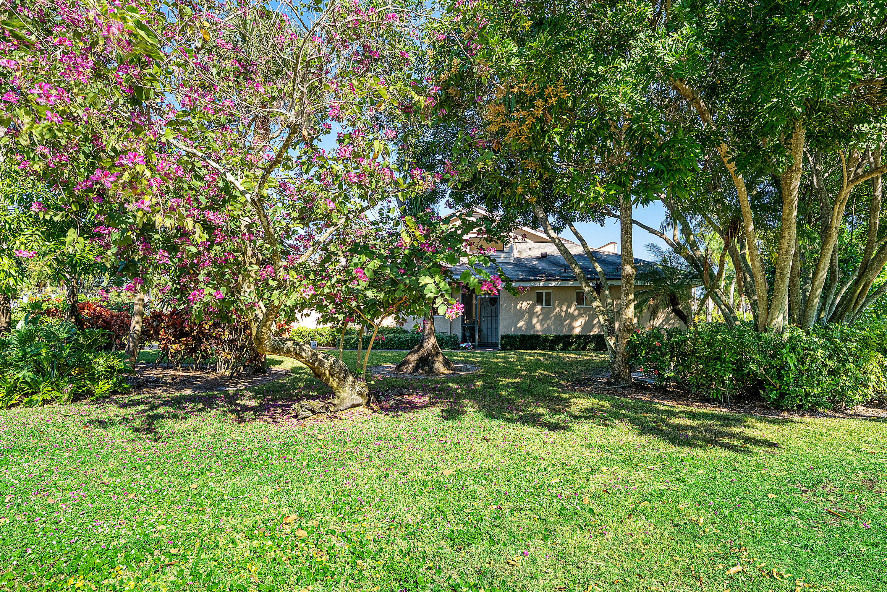 FOUNTAINS - Residential