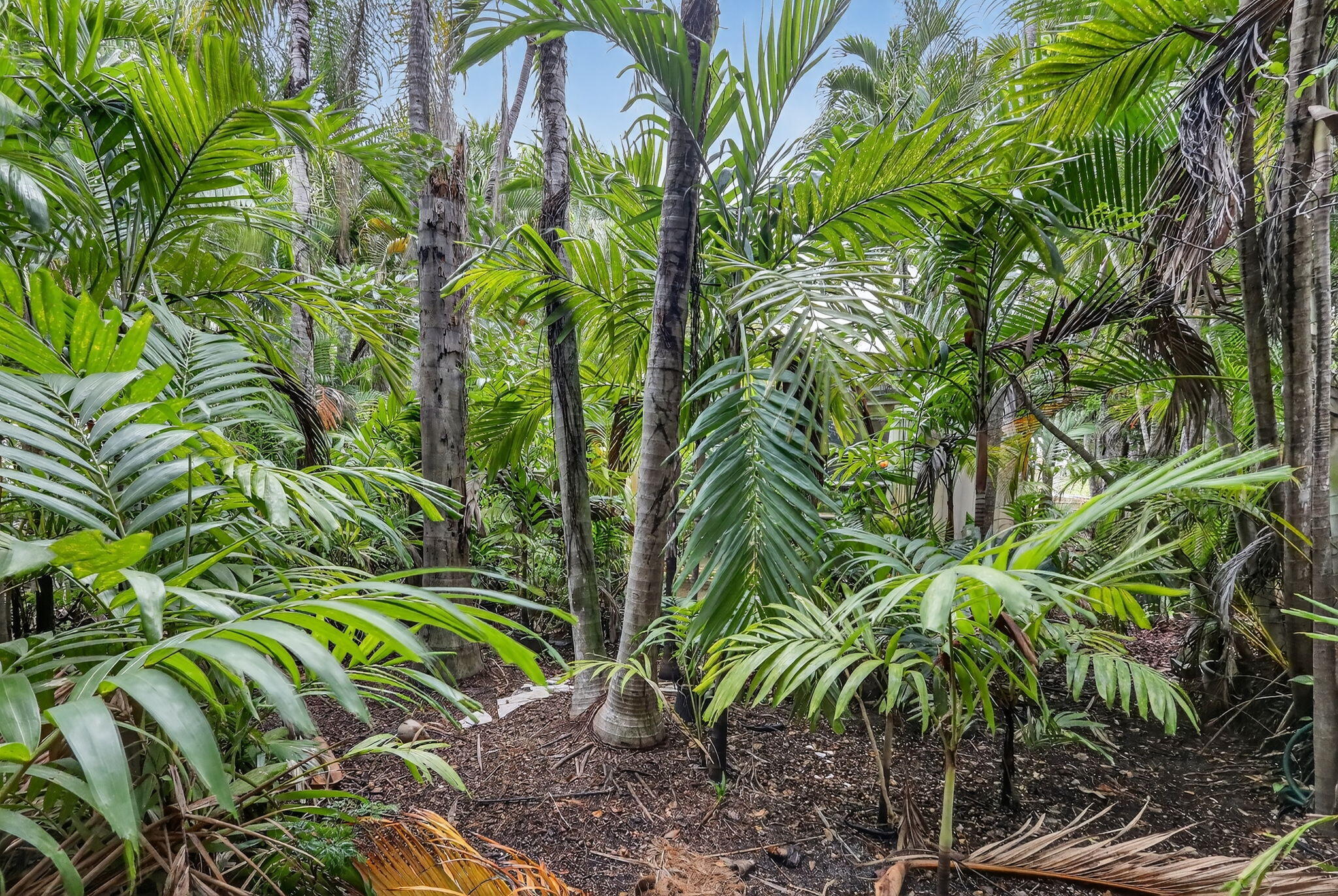 FULFORD BY THE SEA REV PLAT OF - Residential