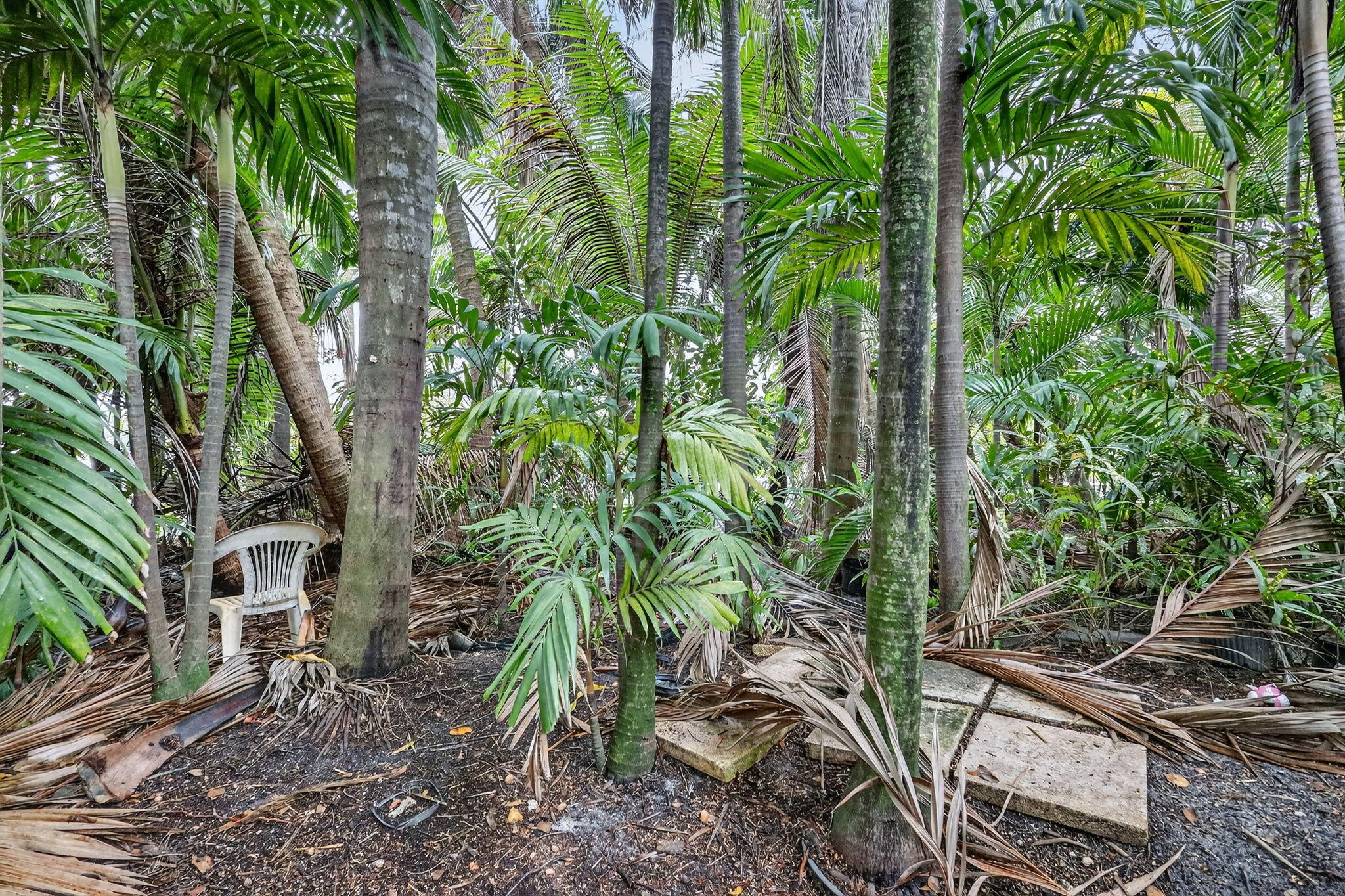 FULFORD BY THE SEA REV PLAT OF - Residential